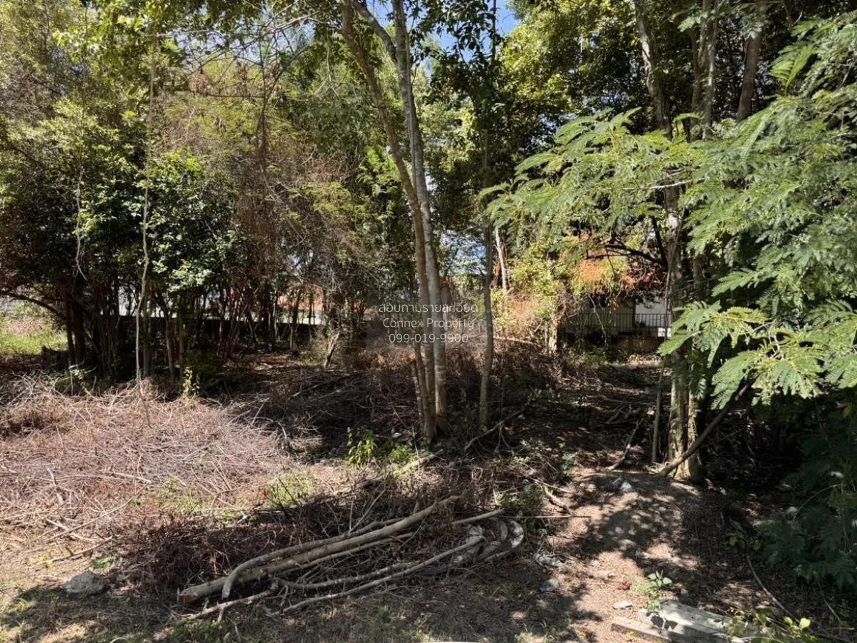 For Sale Vacant land Hua Hin , Hua Hin , Hua Hin , Prachuap Khiri 2