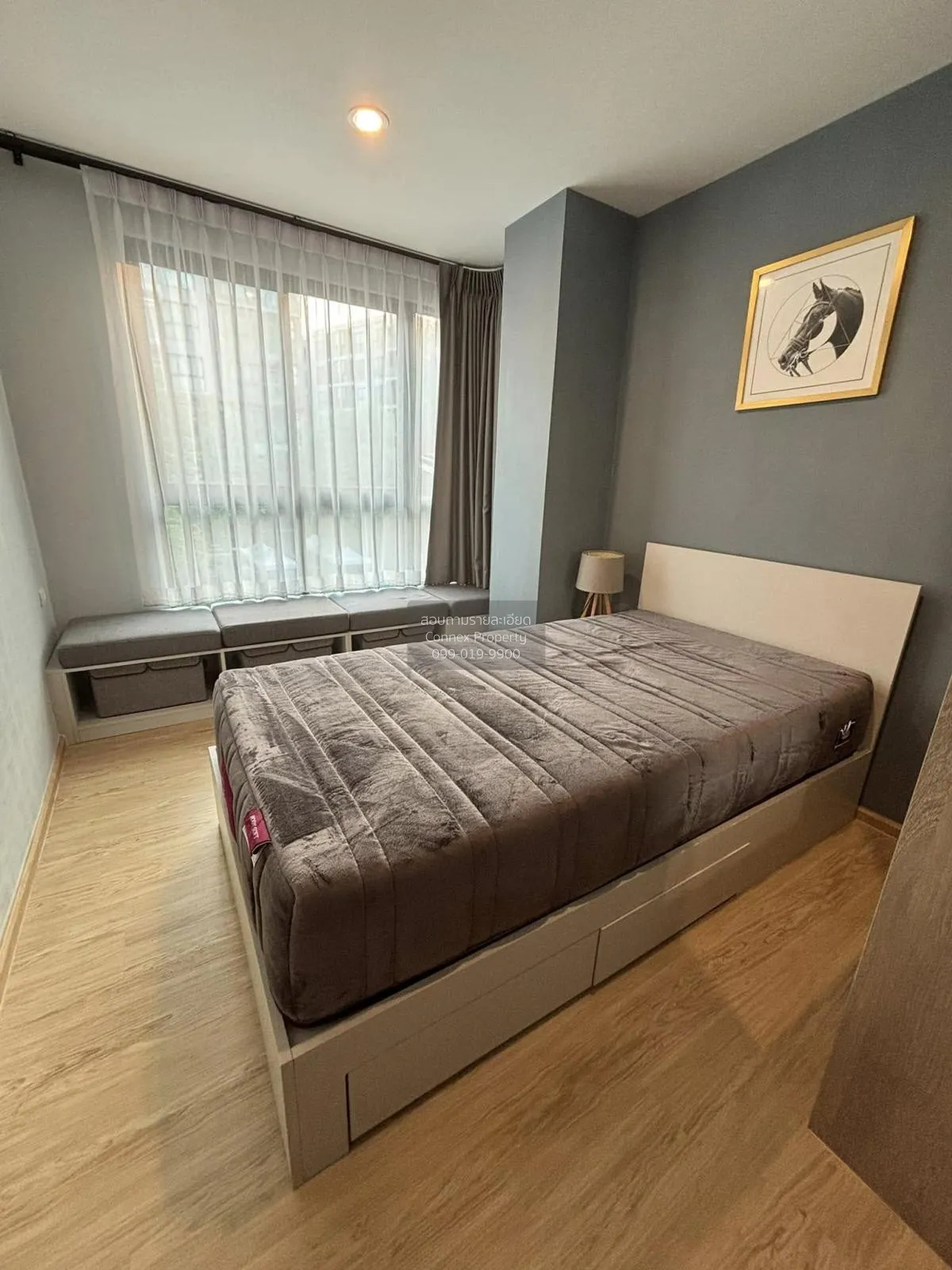 For Rent Condo , The Excel Hideaway Sukhumvit 50 , BTS-Phra Khano