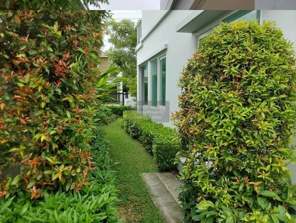 ขายบ้าน  ชัยพฤกษ์ เวสต์เกต บางแม่นาง บางใหญ่ นนทบุรี CX-120730 4