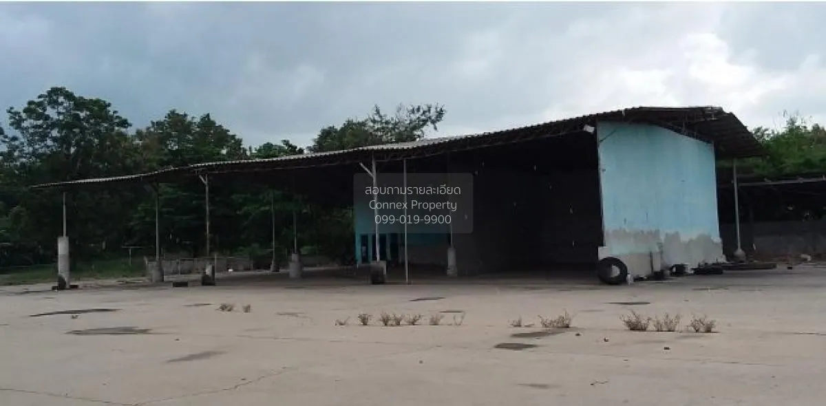 ขายโกดัง/โรงงาน  บ้านทุ่งตากแดด ทุ่งทราย ทรายทองวัฒนา กำแพงเพชร C 1