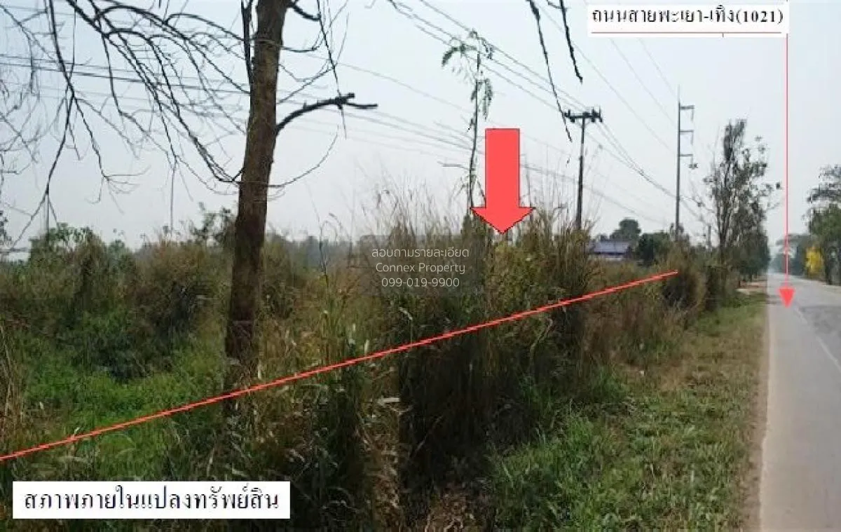 For Sale Land , Ban Mae Tam, Teng-Phayao , Nam Waen , Mueang Phay