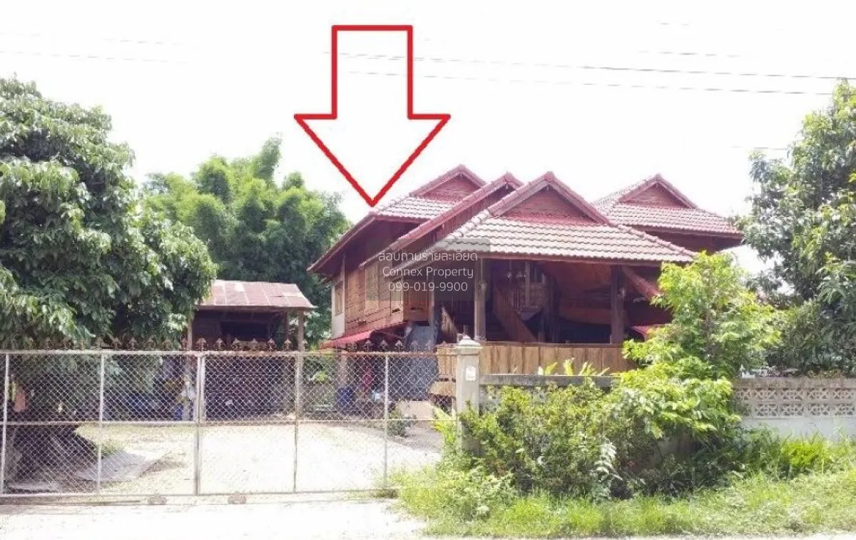 For Sale Single house, Phayao, 321 sq m., Chiang Muan, Chiang Mua