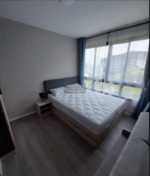 For Rent Condo , D condo Hideaway Rangsit , Khlong Nueng , khlong Luang , Pathum Thani , CX-120827