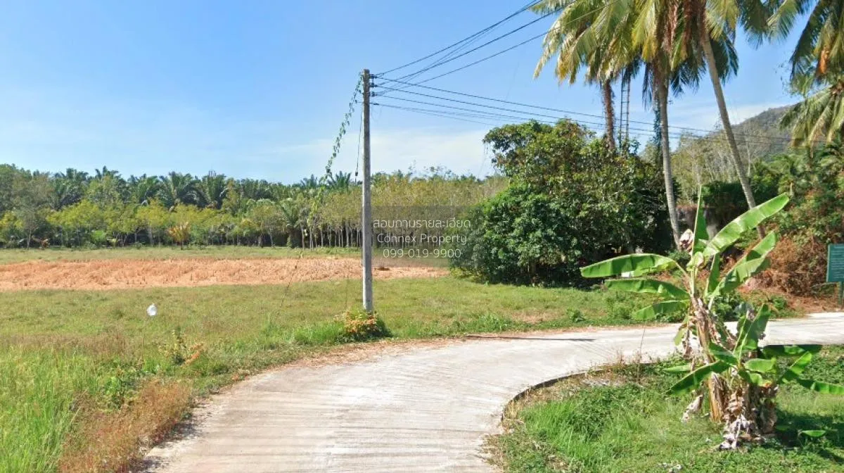 For Sale land 384.60 sq.w. Khuan Don Satun , Yan Sue , Khuan Don  2