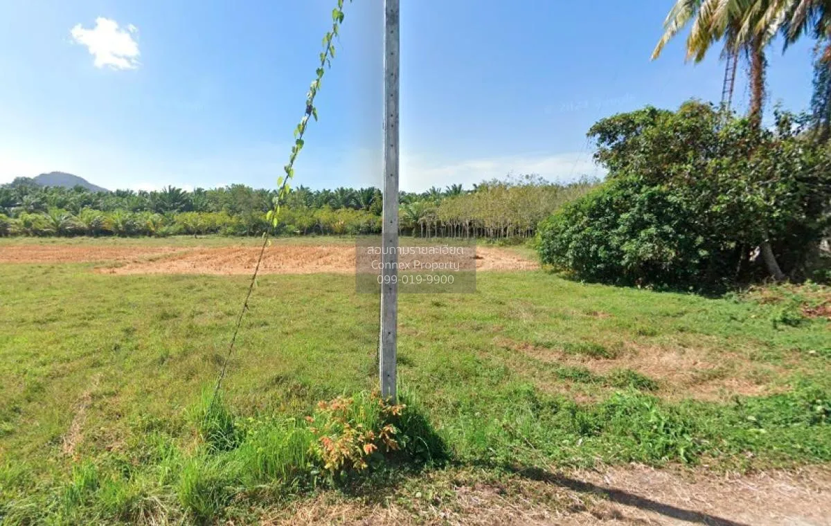 For Sale land 384.60 sq.w. Khuan Don Satun , Yan Sue , Khuan Don  3