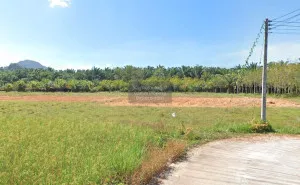 For Sale land 384.60 sq.w. Khuan Don Satun , Yan Sue , Khuan Don , Satun , CX-120856