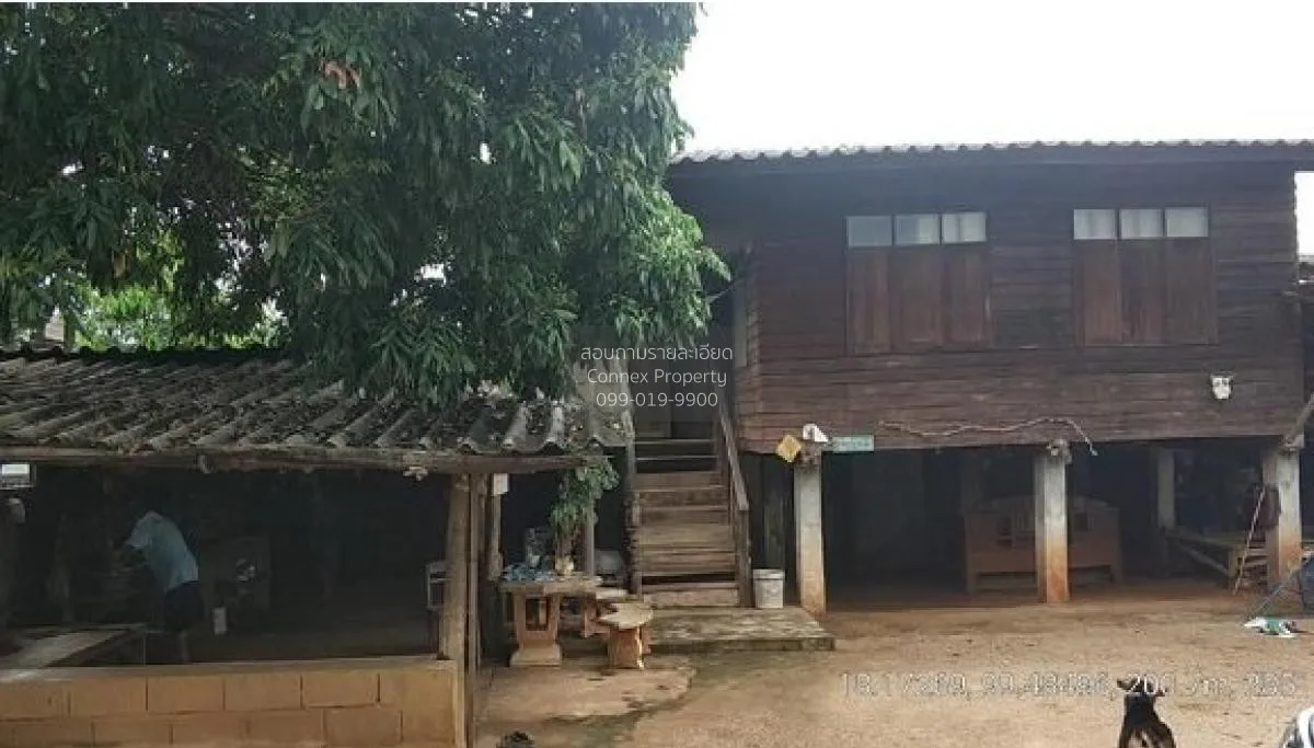 ขายบ้านเดี่ยว ลำปาง 124 ตรม. น้ำโจ้  แม่ทะ  ลำปาง น้ำโจ้ แม่ทะ ลำ 4