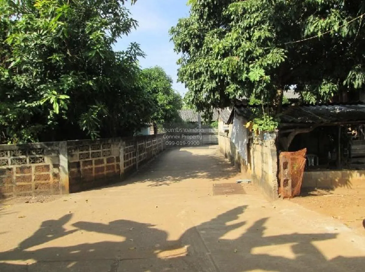 ขายบ้านเดี่ยว ลำปาง 124 ตรม. น้ำโจ้  แม่ทะ  ลำปาง น้ำโจ้ แม่ทะ ลำ