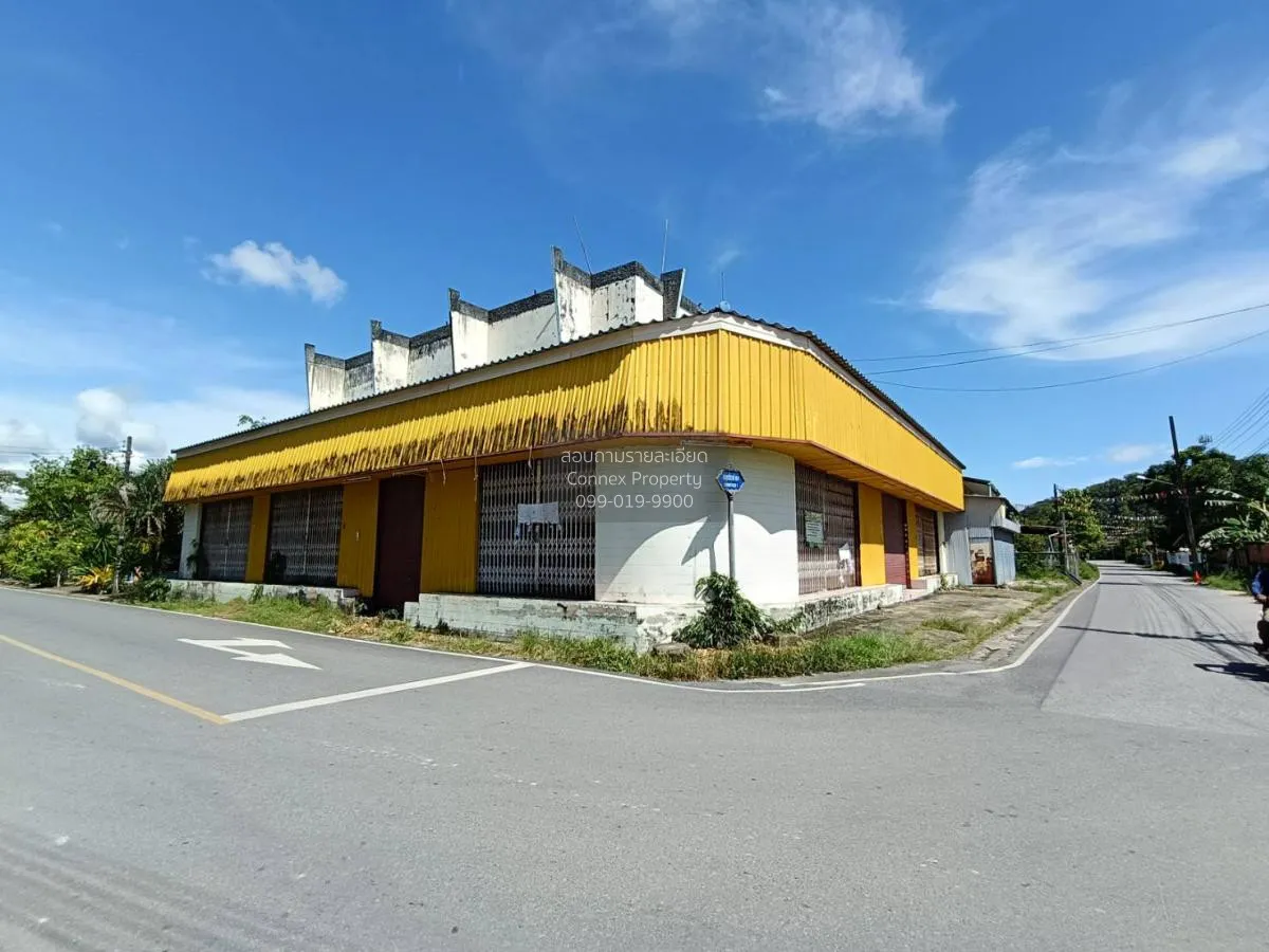 For sale 2-storey detached house with business, 582 square meters 2