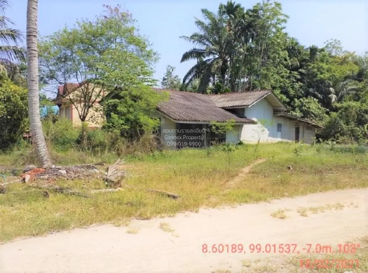 ขายบ้านเดี่ยว 1 ชั้น 232.90 ตารางวา พระแสง สุราษฎร์ธานี บางสวรรค์ 2