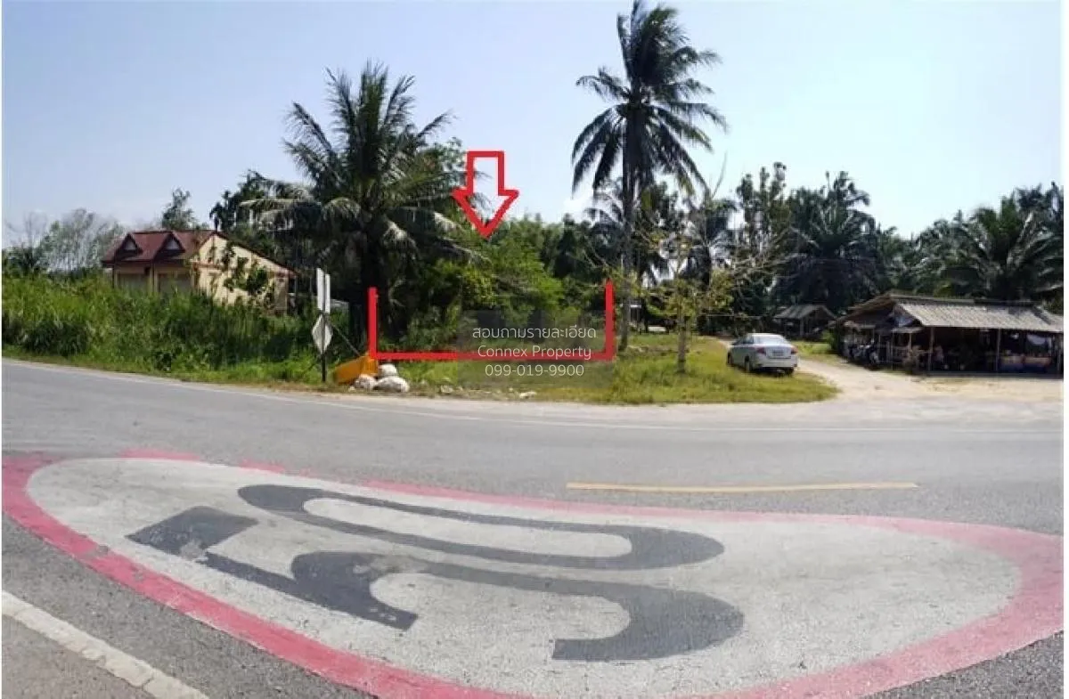 ขายบ้านเดี่ยว 1 ชั้น 232.90 ตารางวา พระแสง สุราษฎร์ธานี บางสวรรค์