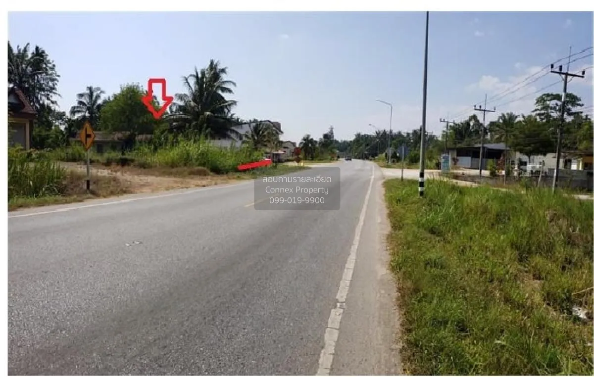 ขายบ้านเดี่ยว 1 ชั้น 232.90 ตารางวา พระแสง สุราษฎร์ธานี บางสวรรค์