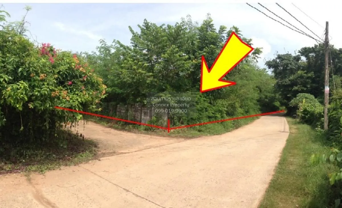 For Sale Vacant land, Kalasin, 1355 sq m., Yang Talat, Yang Talat 1