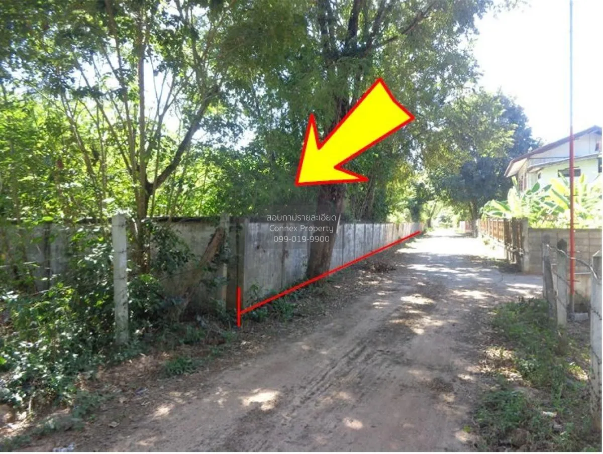 For Sale Vacant land, Kalasin, 1355 sq m., Yang Talat, Yang Talat 2