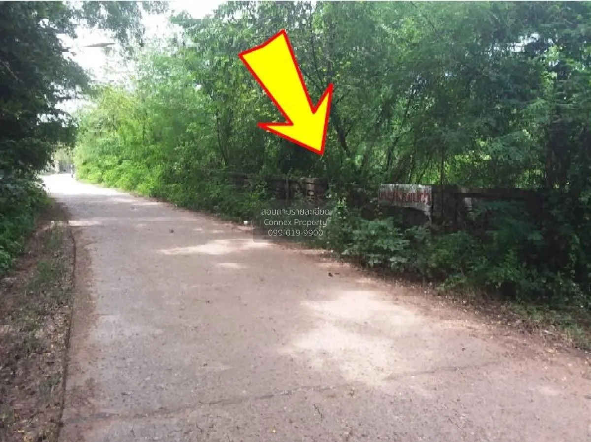 For Sale Vacant land, Kalasin, 1355 sq m., Yang Talat, Yang Talat 4