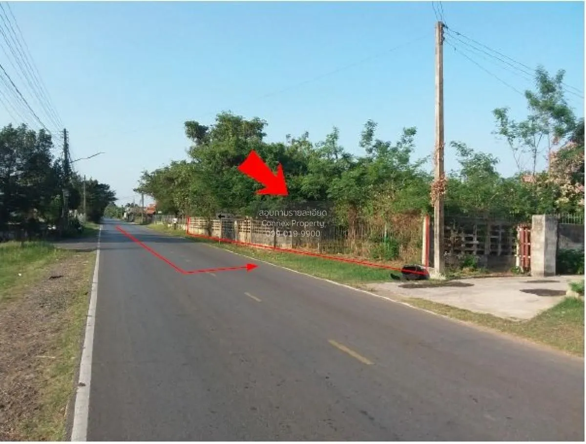 For Sale ที่ดินว่างเปล่า บ้านโคกสี กาฬสินธุ์  1625 ตรว. นาดี  ยาง 3