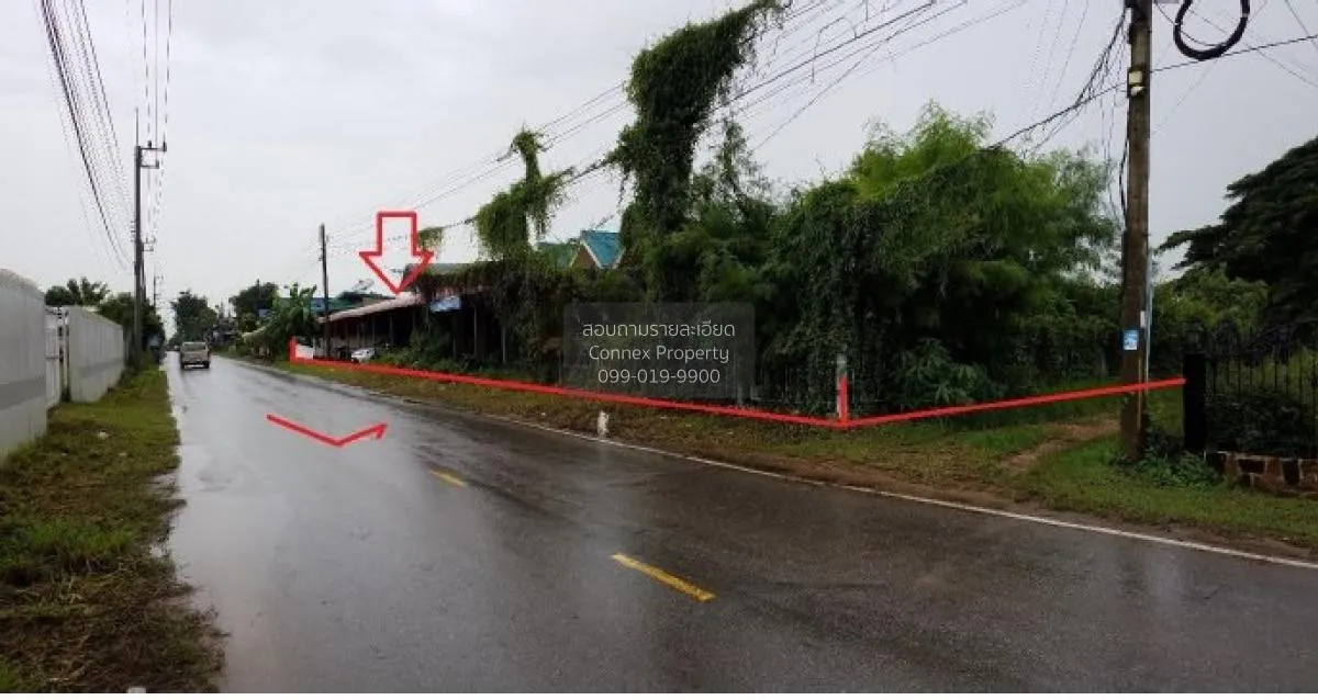 For Sale House , Ban Khok Si , Um Mao , Yang Talat , Kalasin , CX 1