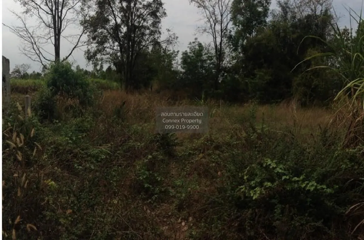 For Sale Vacant land, Khon Kaen, 1409 sq m, Nong Bua, Ban Fang, K 2