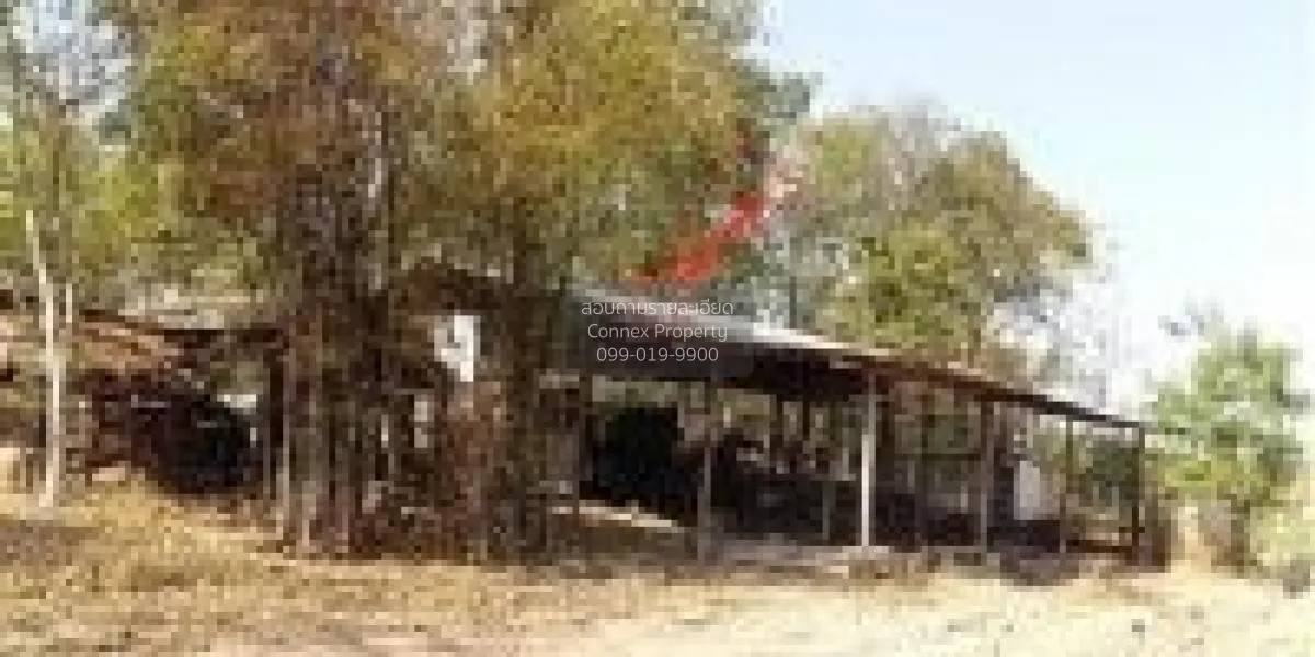 For Sale Vacant land, Khon Kaen, 1409 sq m, Nong Bua, Ban Fang, K 4