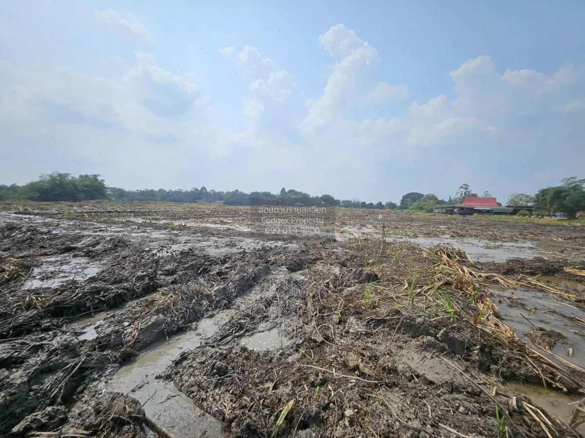 For Sale land 28 rai Nakhon Pathom , Don Faek , Nakhon Chai Si , 