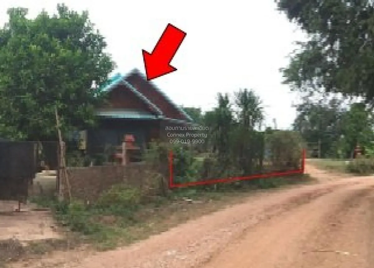 ขายบ้านเดี่ยว ชัยภูมิ 135 ตรม.  ชีบน  บ้านเขว้า  ชัยภูมิ ชีบน บ้า 1