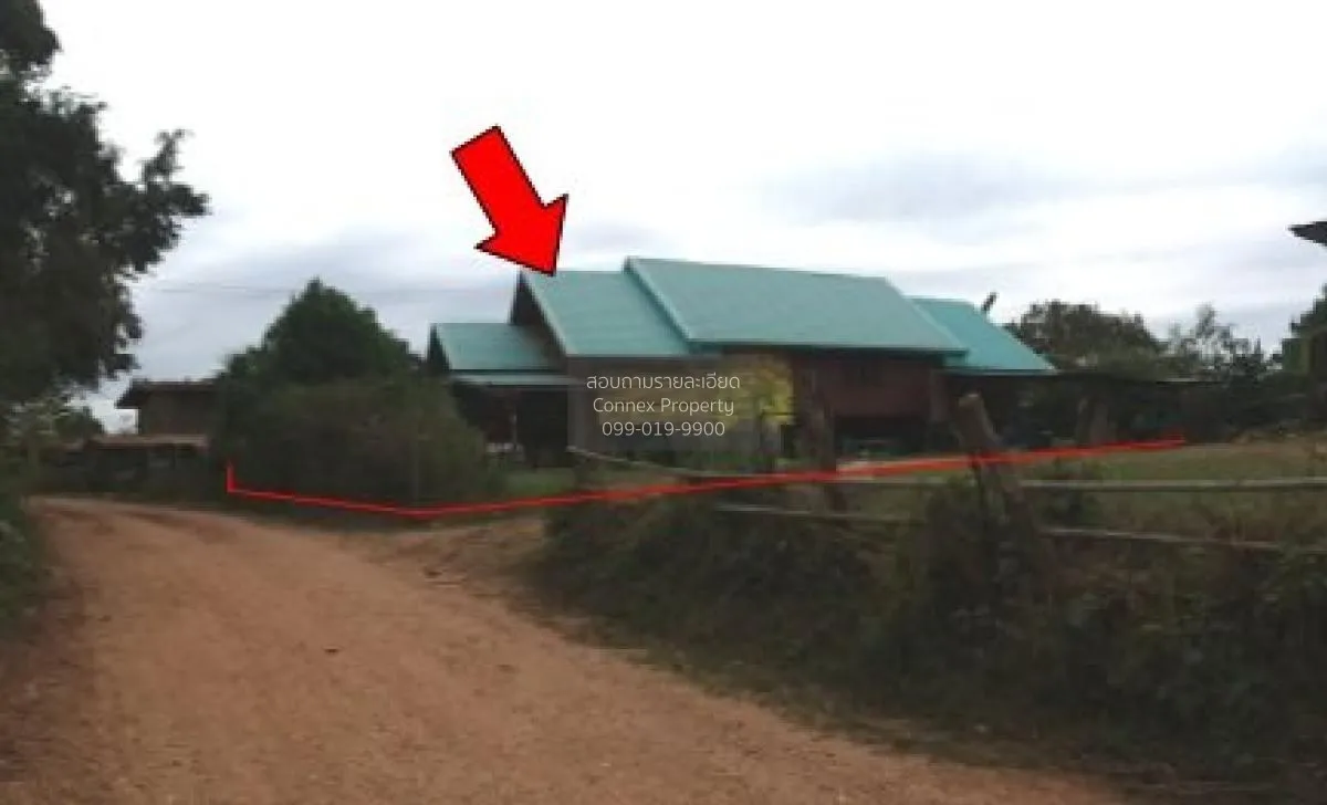 ขายบ้านเดี่ยว ชัยภูมิ 135 ตรม.  ชีบน  บ้านเขว้า  ชัยภูมิ ชีบน บ้า 2