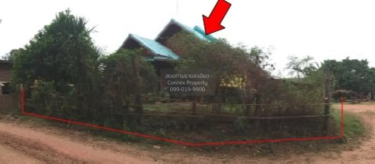 ขายบ้านเดี่ยว ชัยภูมิ 135 ตรม.  ชีบน  บ้านเขว้า  ชัยภูมิ ชีบน บ้า 3