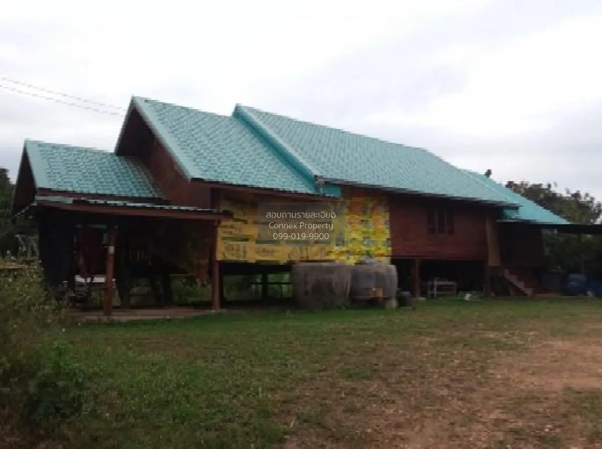 ขายบ้านเดี่ยว ชัยภูมิ 135 ตรม.  ชีบน  บ้านเขว้า  ชัยภูมิ ชีบน บ้า 4