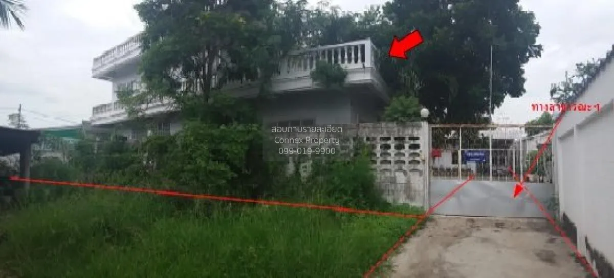 ขายบ้านเดี่ยว ชัยภูมิ  232 ตรม. ในเมือง  เมืองชัยภูมิ  ชัยภูมิ ใน 2