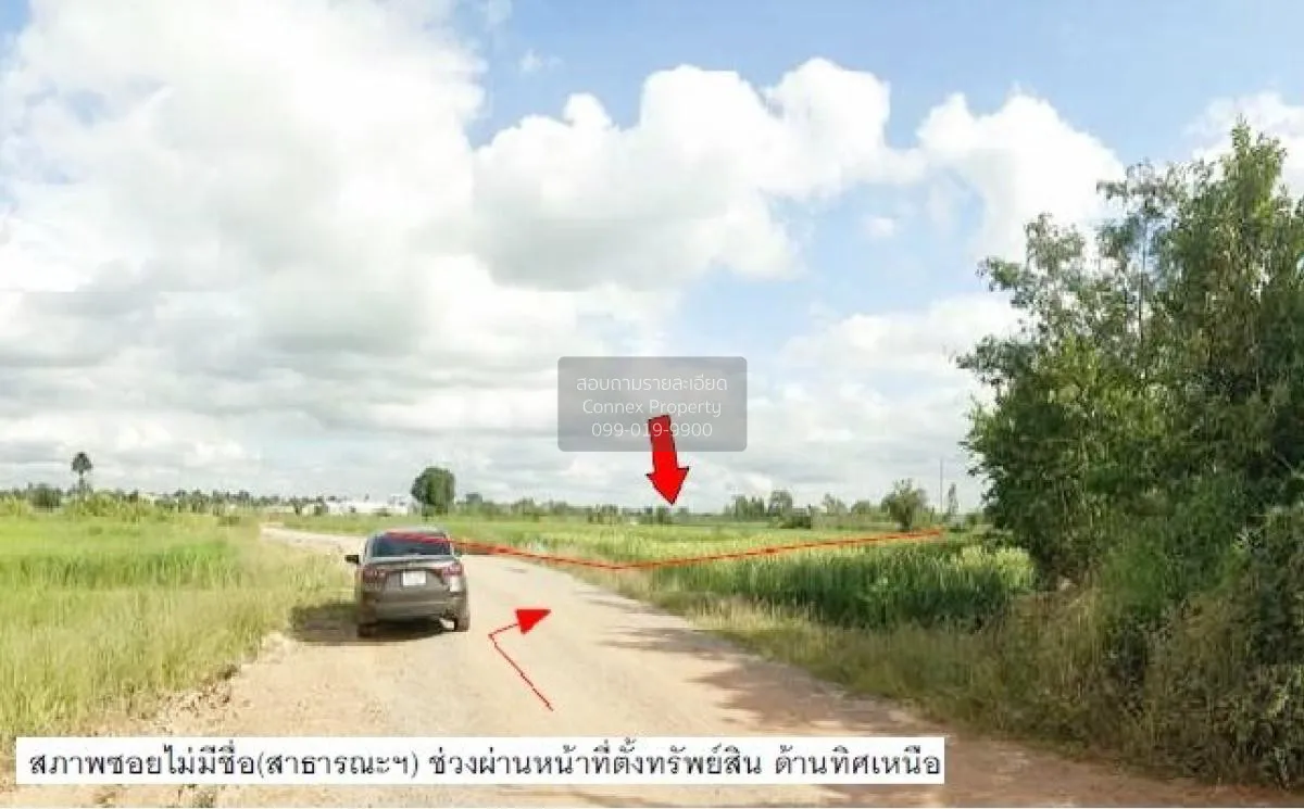 ขายที่ดินว่างเปล่า นครราชสีมา  2910.50 ตรว. ด่านขุนทด  ด่านขุนทด  1