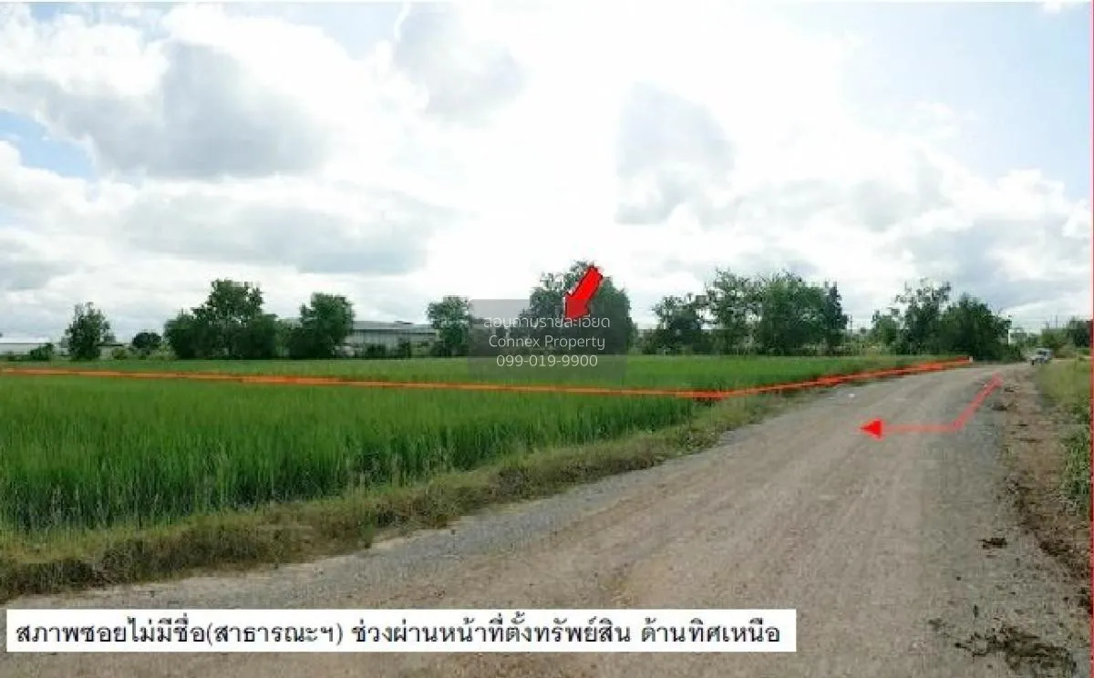 ขายที่ดินว่างเปล่า นครราชสีมา  2910.50 ตรว. ด่านขุนทด  ด่านขุนทด  3