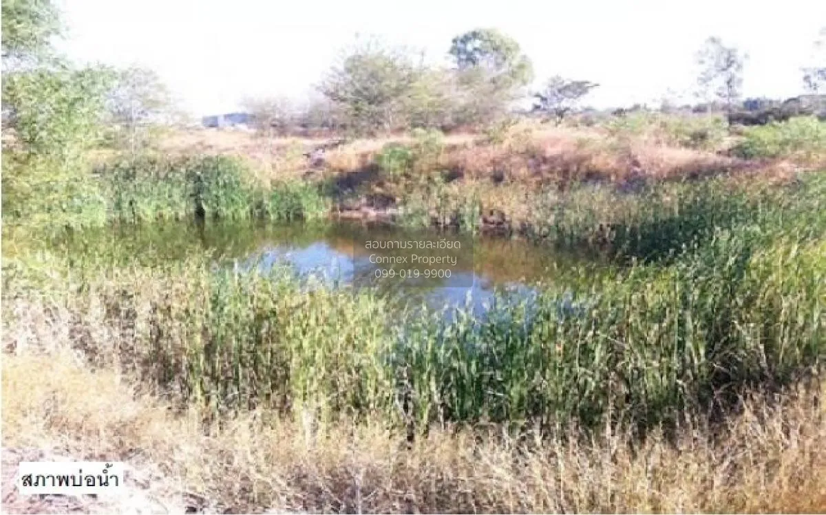 ขายที่ดินว่างเปล่า นครราชสีมา  2910.50 ตรว. ด่านขุนทด  ด่านขุนทด 