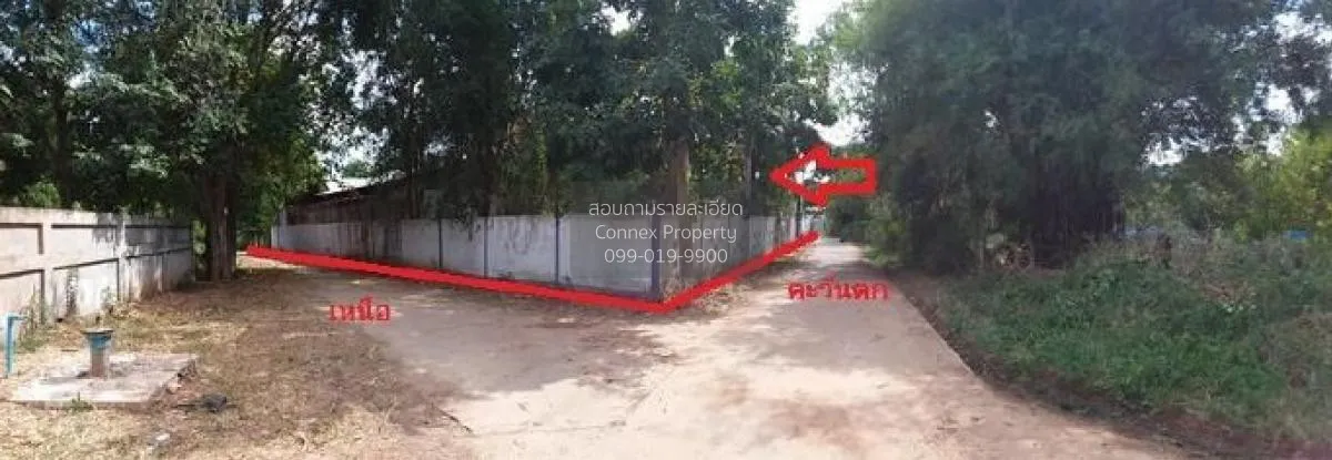 For Sale Single house, Maha Sarakham, 256 sq m., Chiang Yuen, Chi 3