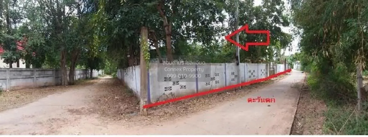 For Sale Single house, Maha Sarakham, 256 sq m., Chiang Yuen, Chi 4