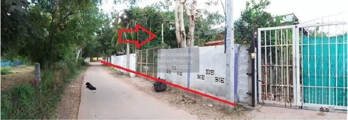For Sale Single house, Maha Sarakham, 256 sq m., Chiang Yuen, Chi