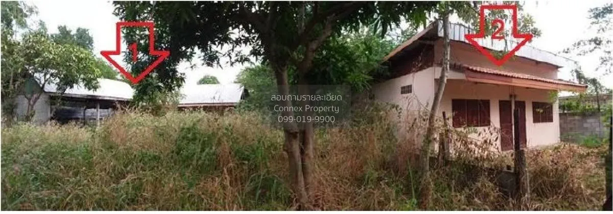 For Sale Single house, Maha Sarakham, 256 sq m., Chiang Yuen, Chi