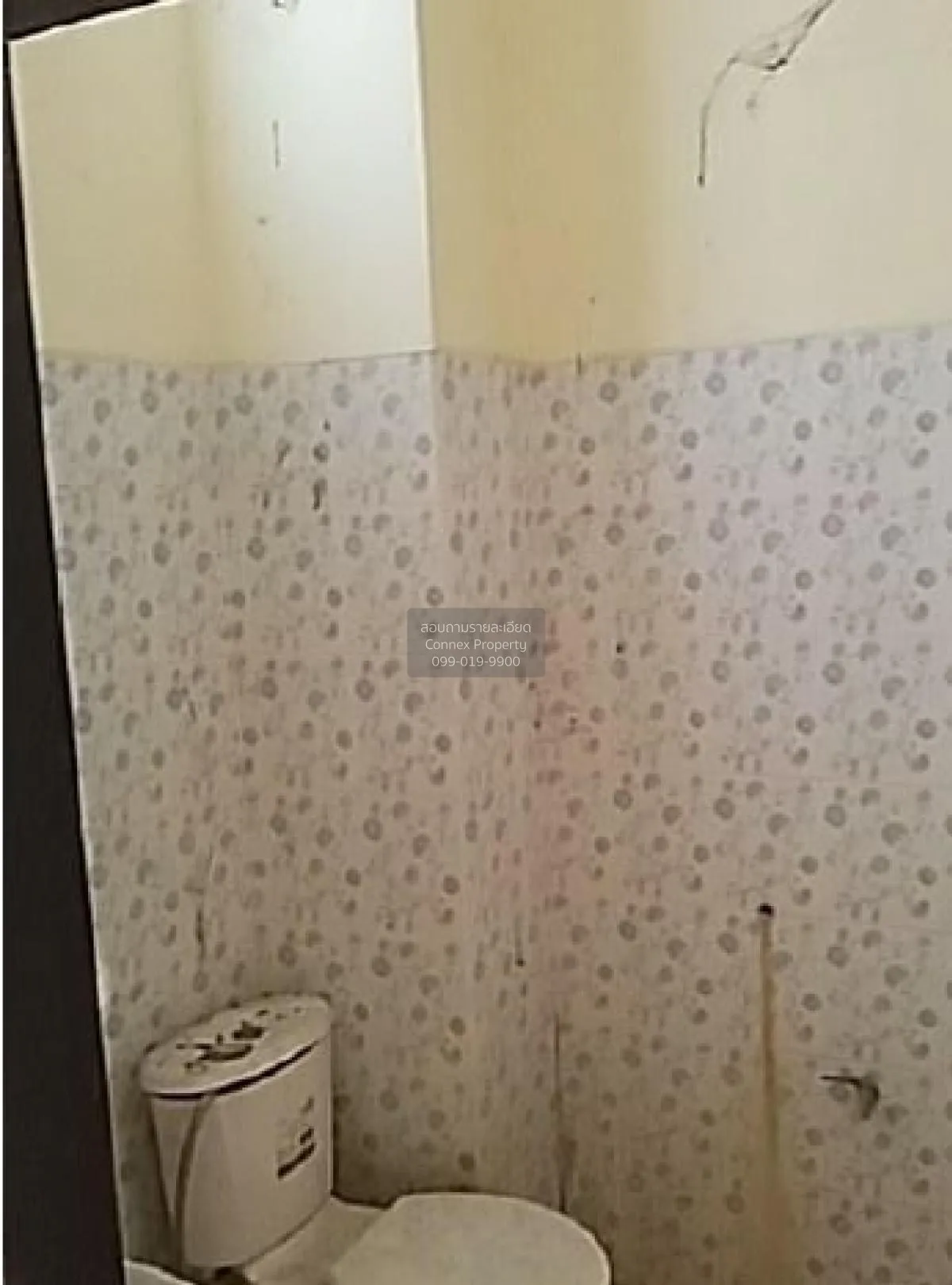 ขายอาคารพาณิชย์  บ้านควนนิยม สินปุน พระแสง สุราษฎร์ธานี CX-120957