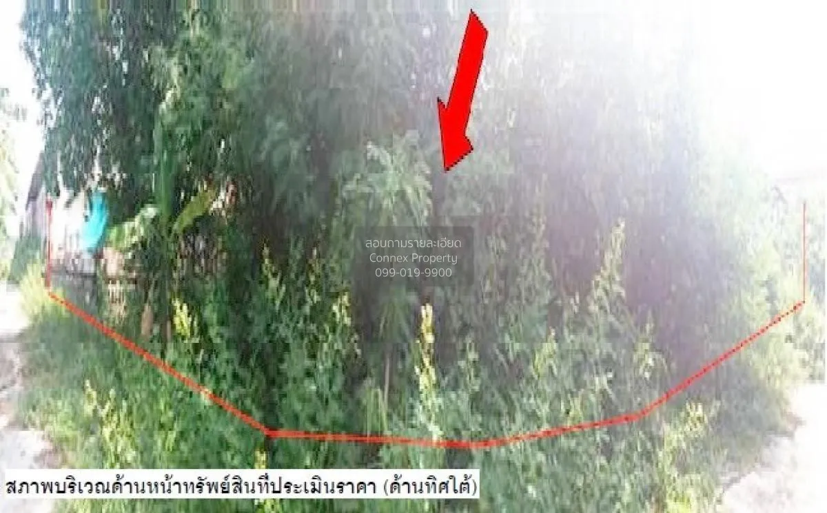 ขายที่ดินว่างเปล่า ยโสธร  80 ตร.ว.  ในเมือง  เมืองยโสธร  ยโสธร ใน