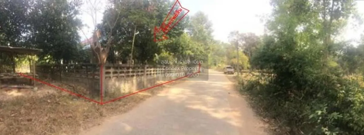 ขายบ้านเดี่ยว ยโสธร  253.00 ตร.ว. เขื่องคำ  เมืองยโสธร  ยโสธร เขื 2