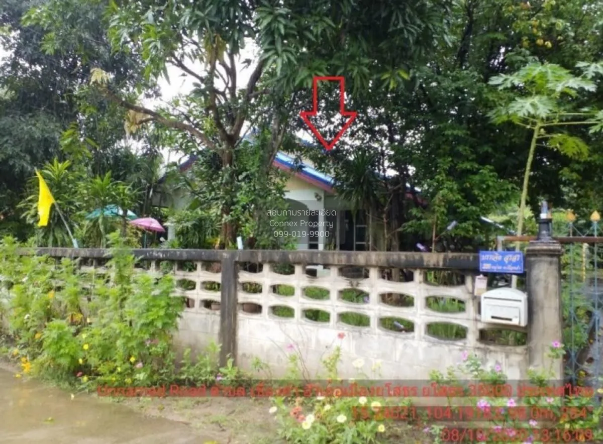 ขายบ้านเดี่ยว ยโสธร  253.00 ตร.ว. เขื่องคำ  เมืองยโสธร  ยโสธร เขื