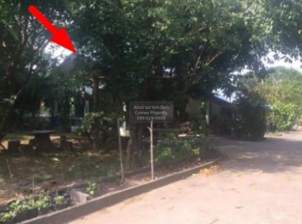 ขายบ้านเดี่ยว ยโสธร  253.00 ตร.ว. เขื่องคำ  เมืองยโสธร  ยโสธร เขื