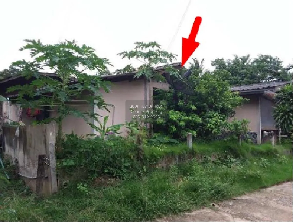 For Sale Single house, Roi Et, 255.00 sq.w., Dok Mai, Suvarnabhum 1