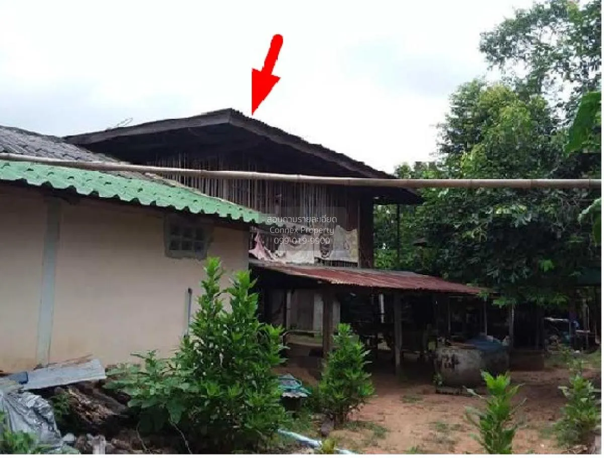 For Sale Single house, Roi Et, 255.00 sq.w., Dok Mai, Suvarnabhum 4