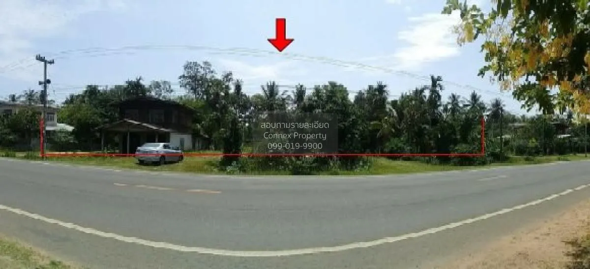 ขายบ้านเดี่ยว ศรีสะเกษ  915.00 ตร.ว.  หนองหัวช้าง  กันทรารมย์  ศร 1