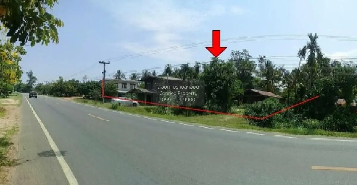 ขายบ้านเดี่ยว ศรีสะเกษ  915.00 ตร.ว.  หนองหัวช้าง  กันทรารมย์  ศร 2