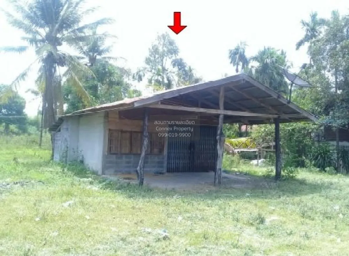 ขายบ้านเดี่ยว ศรีสะเกษ  915.00 ตร.ว.  หนองหัวช้าง  กันทรารมย์  ศร 4