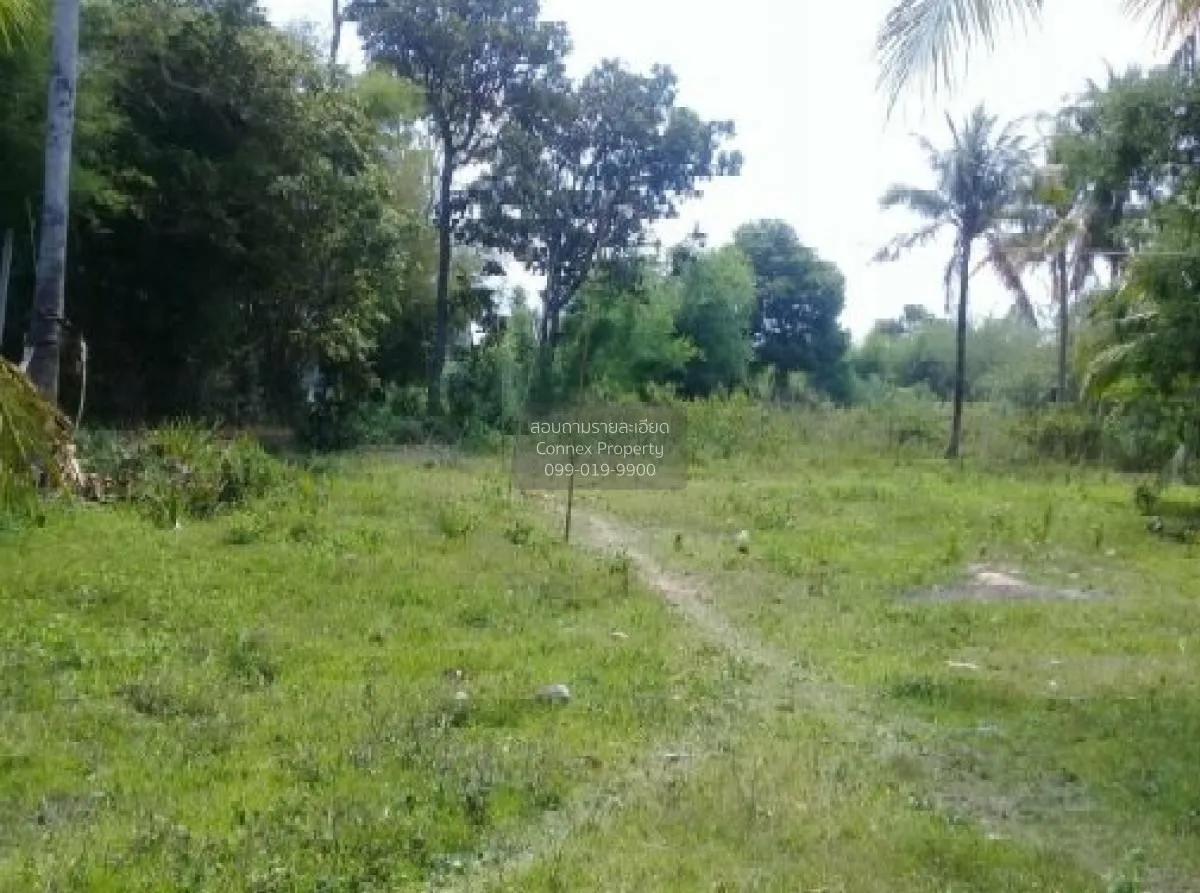 ขายบ้านเดี่ยว ศรีสะเกษ  915.00 ตร.ว.  หนองหัวช้าง  กันทรารมย์  ศร