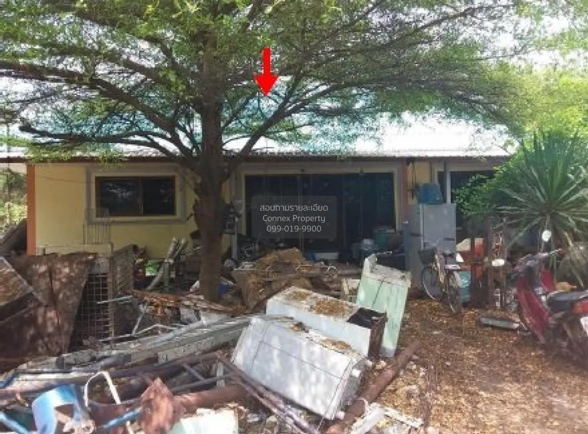 For Sale House with business area 6571 square wah Nakhon Pathom c 3