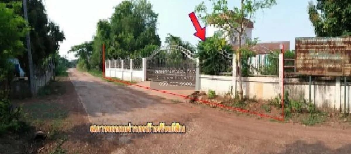 For Sale Single house, Sakon Nakhon, 217.00 sq.w., Sawang Daen Di 2