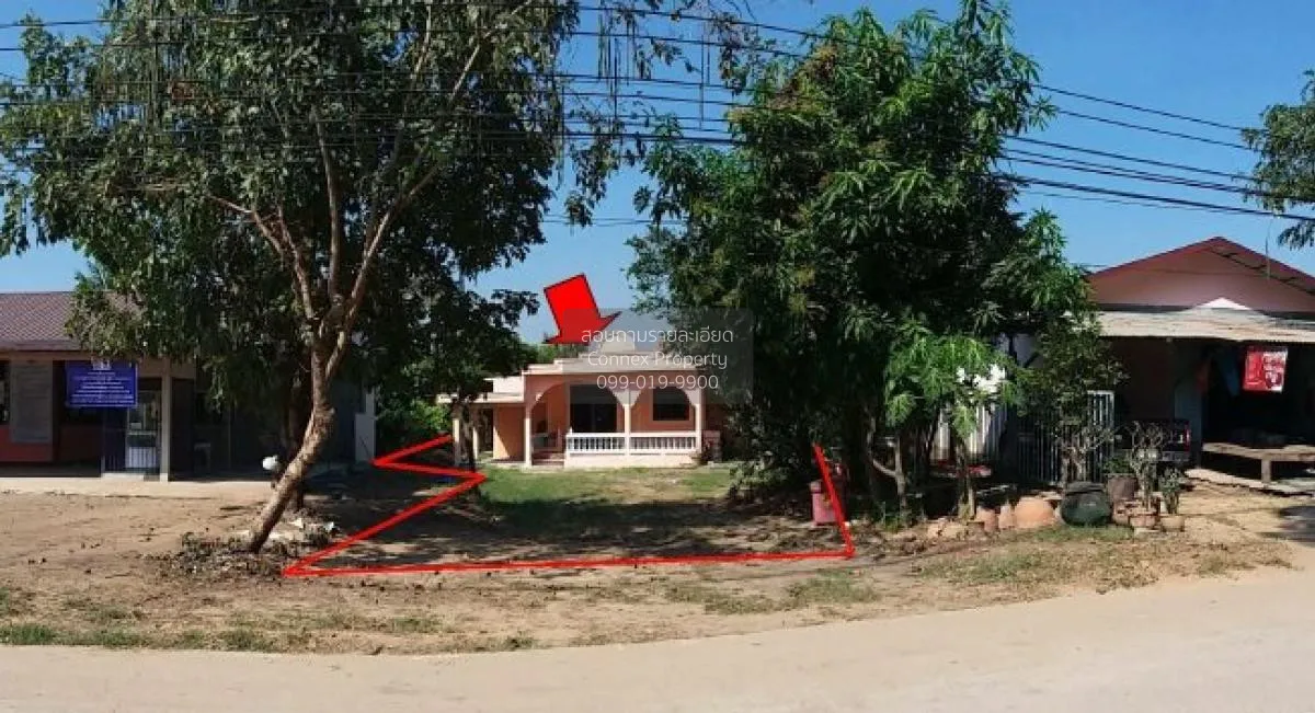 ขายบ้านเดี่ยว 1 ชั้น เนื้อที่ 220ตารางวา บรรพตพิสัย นครสวรรค์ หนอ 2